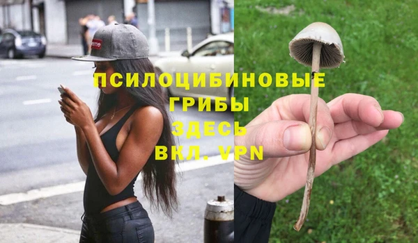 mdpv Бронницы